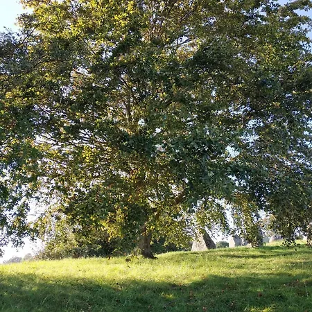 Semesterbostad 4 Person In Grevinge-by Traum *