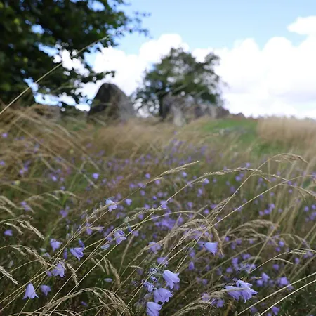 4 Person In Grevinge-by Traum Semesterbostad