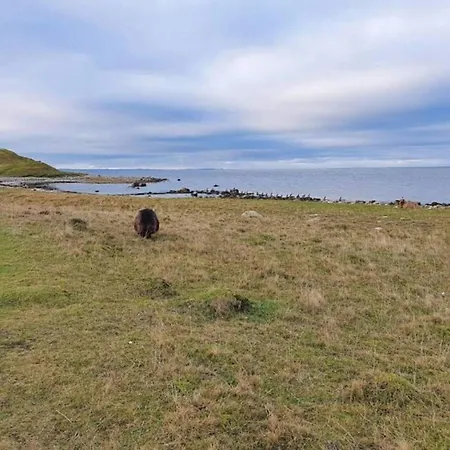 4 Person In Grevinge-by Traum Grevinge