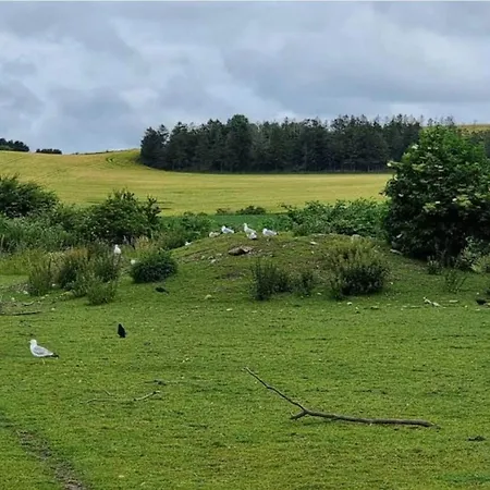 4 Person In Grevinge-by Traum * Grevinge