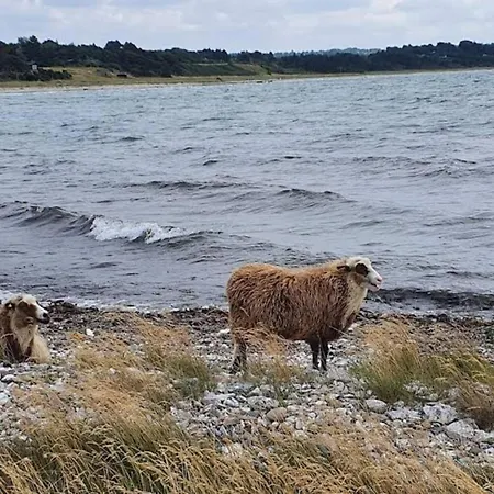 4 Person In Grevinge-by Traum