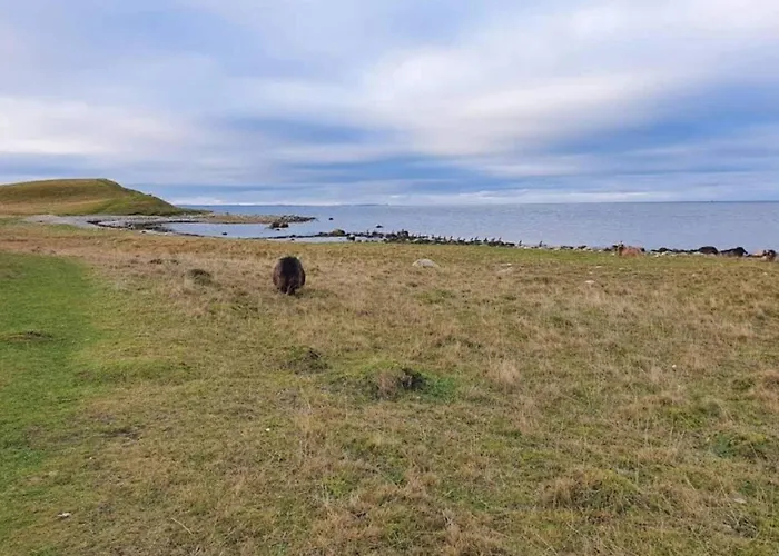 4 Person In Grevinge-by Traum Grevinge