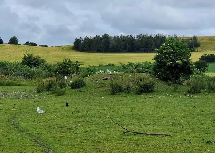 4 Person In Grevinge-by Traum * Grevinge