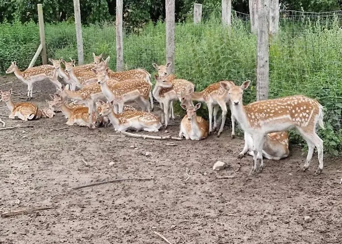 別荘 4 Person In Grevinge-by Traum