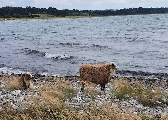 4 Person In Grevinge-by Traum